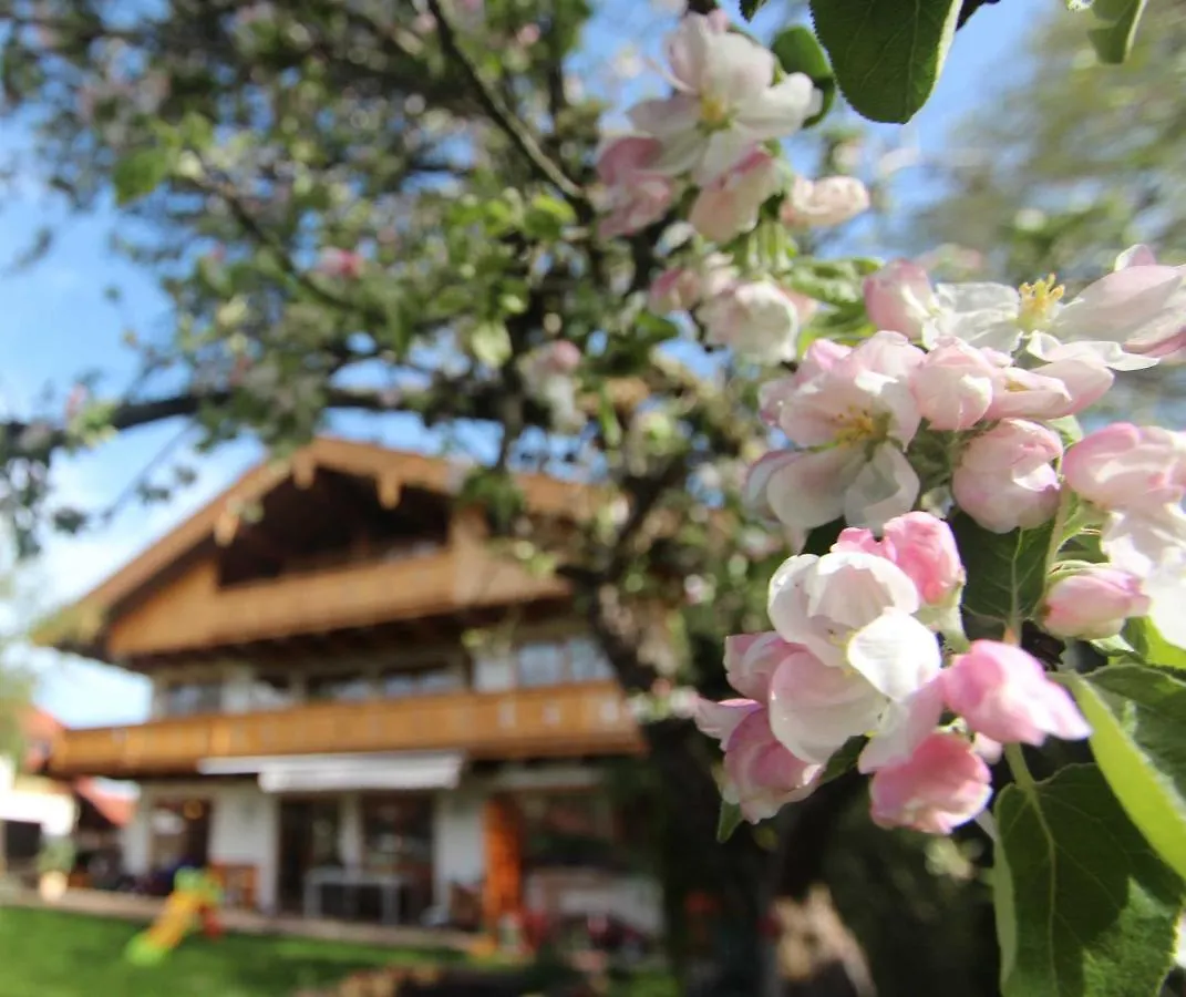 Apartment Appartementhaus Schirsner - Direkt Am See & Am Kurpark Schliersee